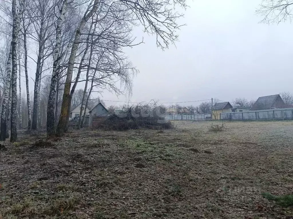 Участок в Брянская область, Брянский район, Снежское с/пос, с. ... - Фото 1