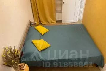 1-к кв. Санкт-Петербург, Санкт-Петербург, Пушкин ул. Пущинская, 1к2 ... - Фото 0