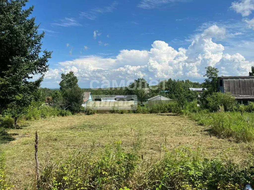 Участок в Хабаровский край, Хабаровский район, Мичуринское с/пос, ... - Фото 2