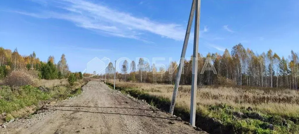 Участок в Тюменская область, Нижнетавдинский район, с. Тюнево  (7.0 ... - Фото 0