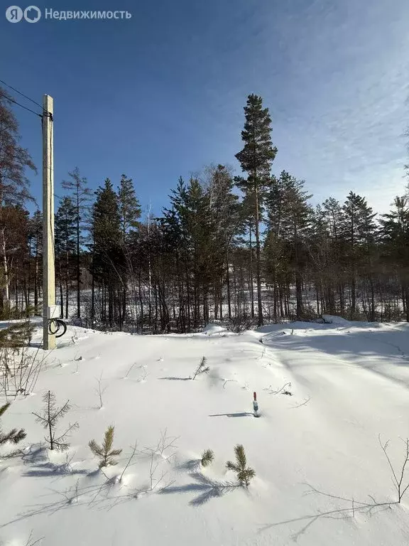 Участок в Иркутский муниципальный округ, деревня Новолисиха, посёлок ... - Фото 2