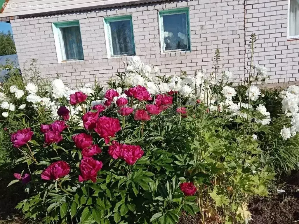 Дом в Архангельская область, Котласский муниципальный округ, деревня ... - Фото 1