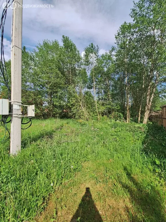 Участок в Московская область, Сергиево-Посадский городской округ, ... - Фото 1