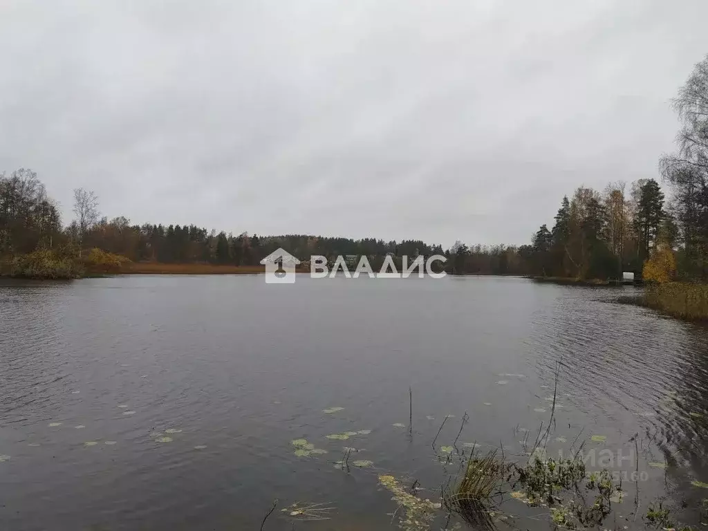 Участок в Ленинградская область, Приозерский район, Мельниковское ... - Фото 2