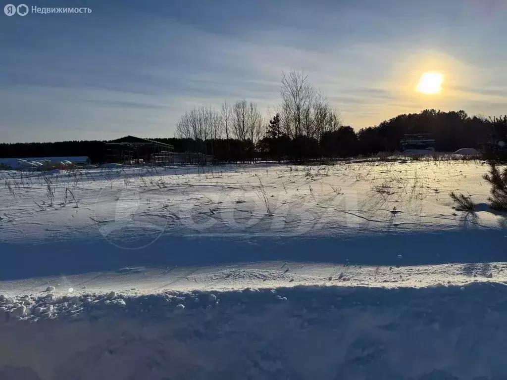 Участок в Тюменский муниципальный округ, деревня Криводанова (10.5 м) - Фото 1