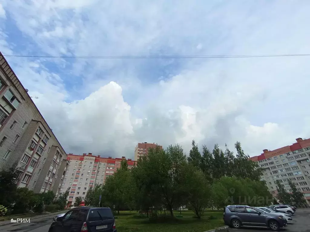2-к кв. Вологодская область, Череповец ул. Годовикова, 4 (52.5 м) - Фото 0