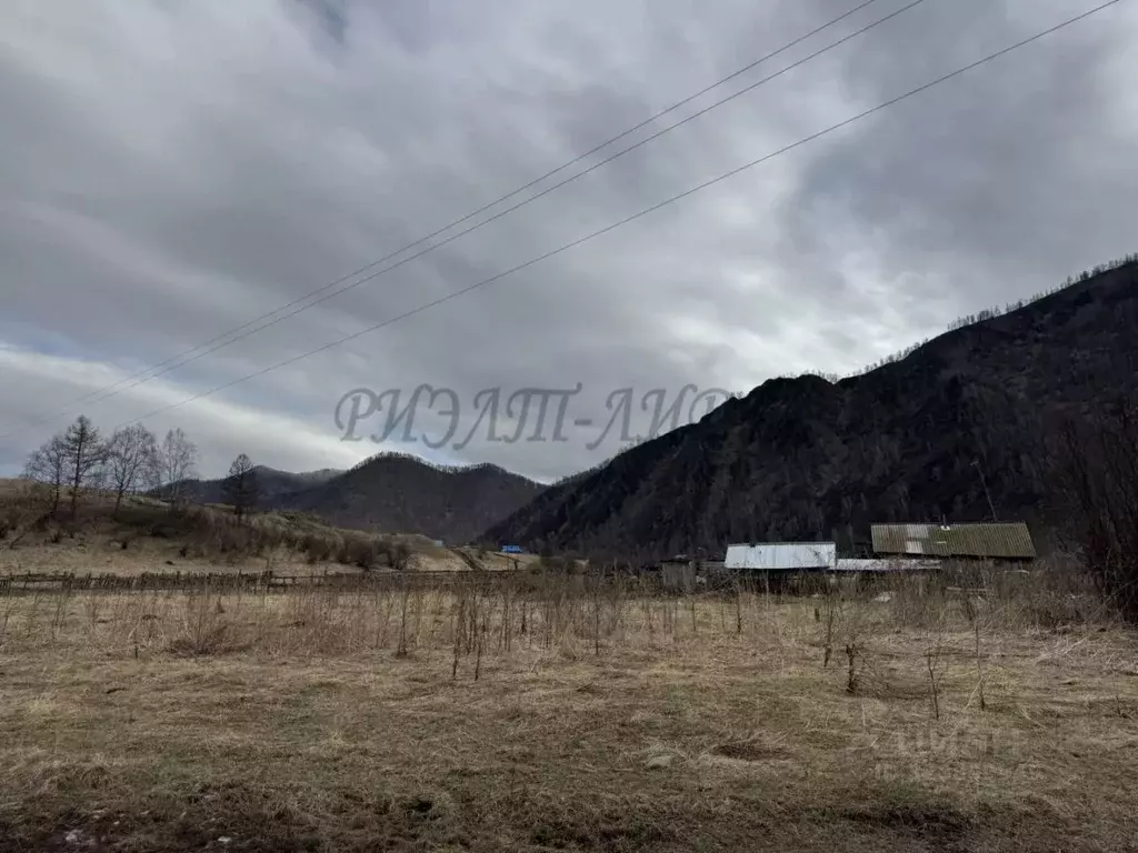 Участок в Алтай, Шебалинский район, с. Мыюта Российская ул. (18.0 ... - Фото 1