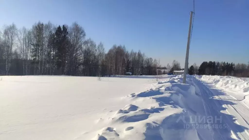 Участок в Томская область, Томский район, Удачный кп ул. Виноградная, ... - Фото 1