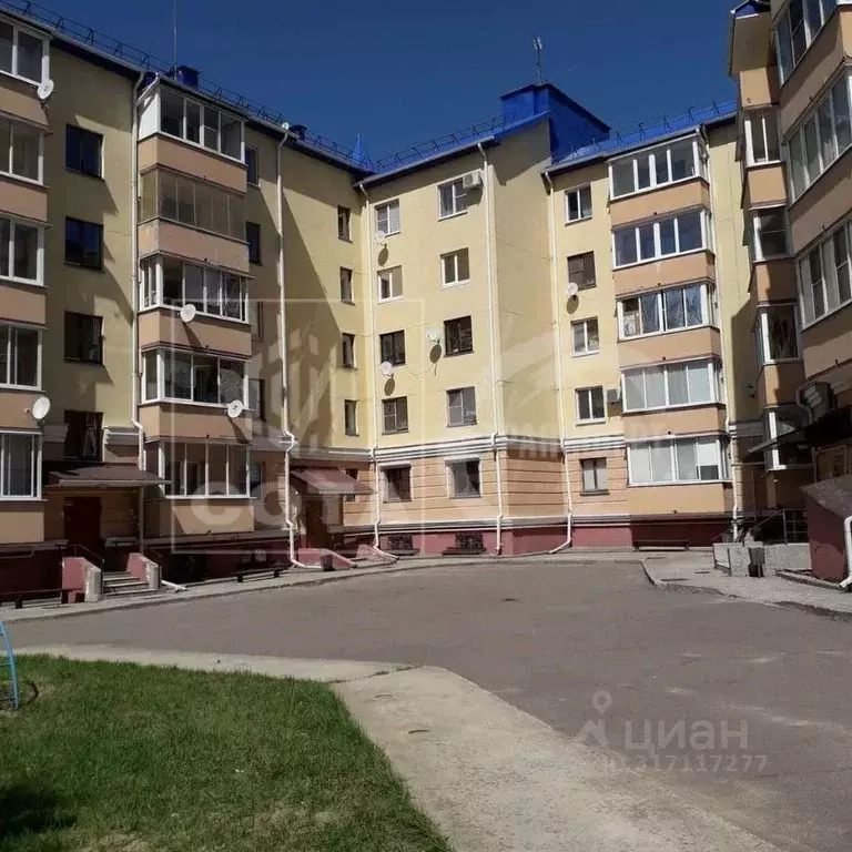 1-к кв. Воронежская область, Рамонь рп ул. Мосина, 6 (43.0 м) - Фото 0