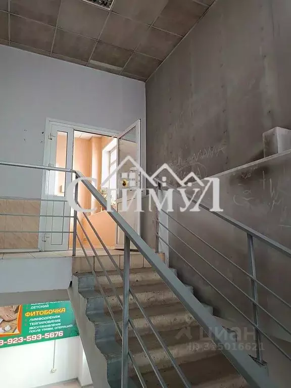 Офис в Хакасия, Черногорск Советская ул., 67А (36 м) - Фото 1