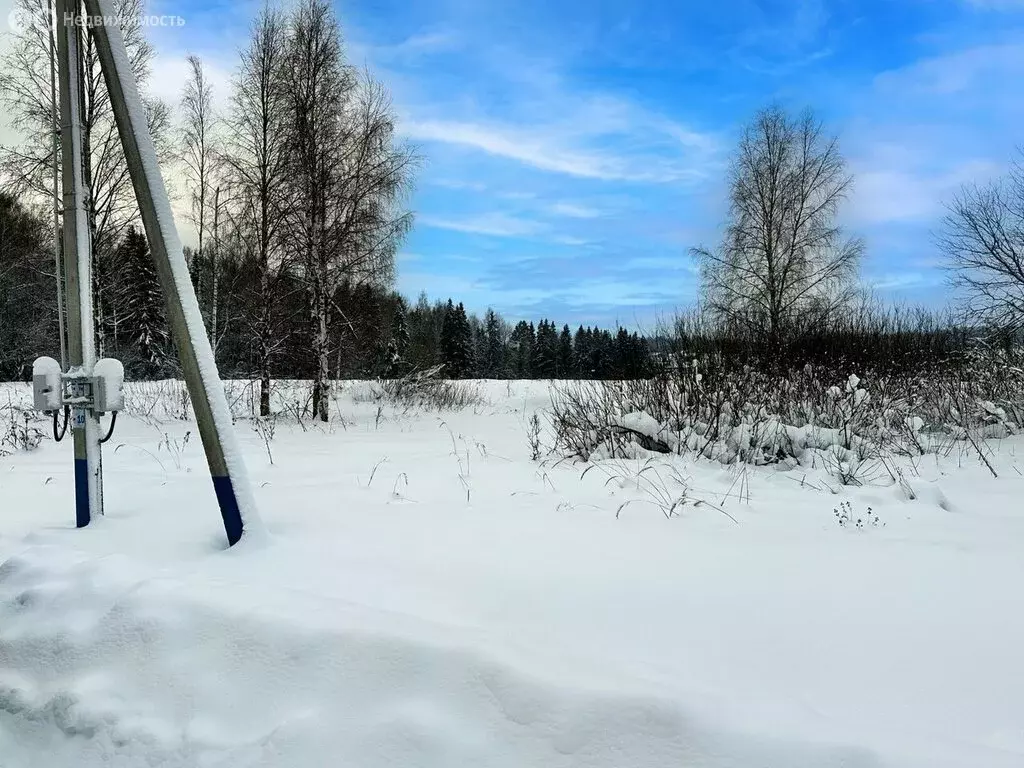 Участок в Московская область, городской округ Клин, КП Коськово, 283 ... - Фото 1