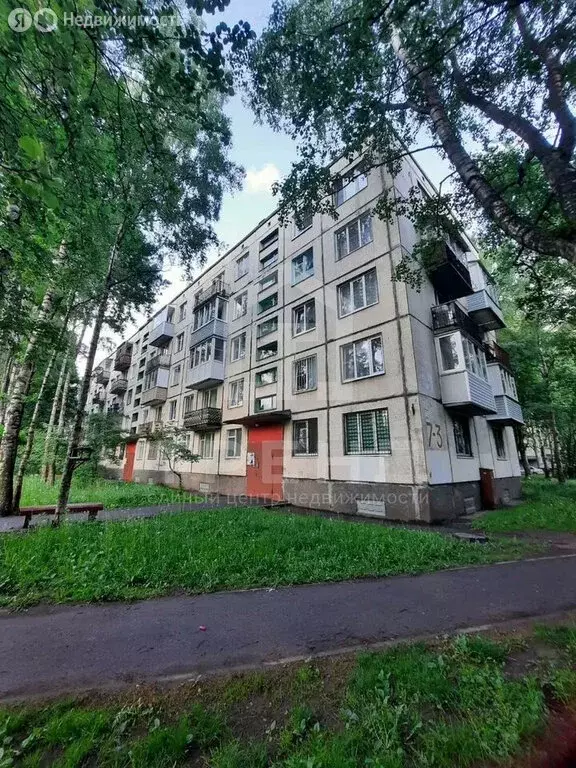 2-комнатная квартира: Санкт-Петербург, проспект Солидарности, 7к3 ... - Фото 1