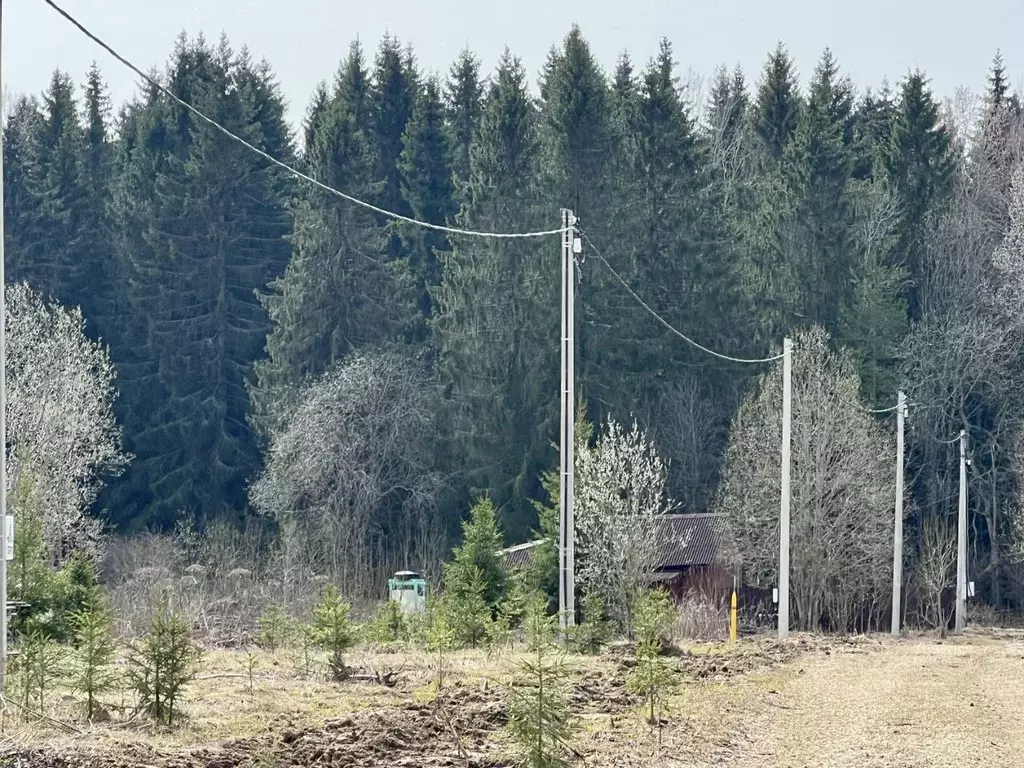 Участок в Ленинградская область, Волосовский район, Калитинское с/пос, ... - Фото 0