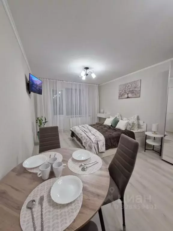 Студия Ленинградская область, Ломоносовский район, Виллозское ... - Фото 1