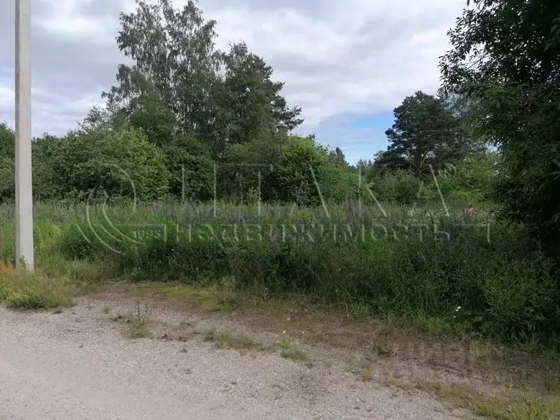 Участок в Ленинградская область, Приозерский район, Кузнечнинское ... - Фото 0