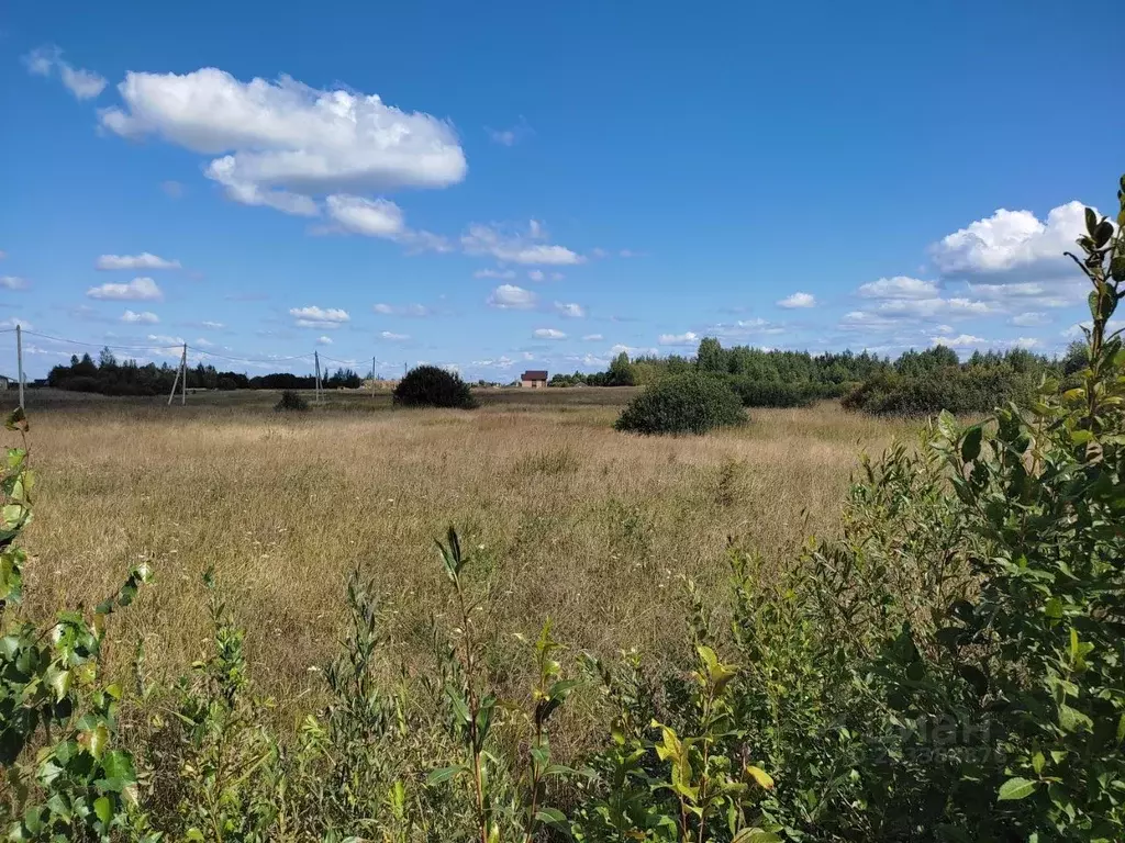 Участок в Новгородская область, Новгородский район, Ракомское с/пос, ... - Фото 2