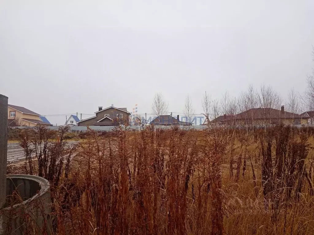 Участок в Нижегородская область, Богородск ул. Рябиновая, 45 (10.0 ... - Фото 1