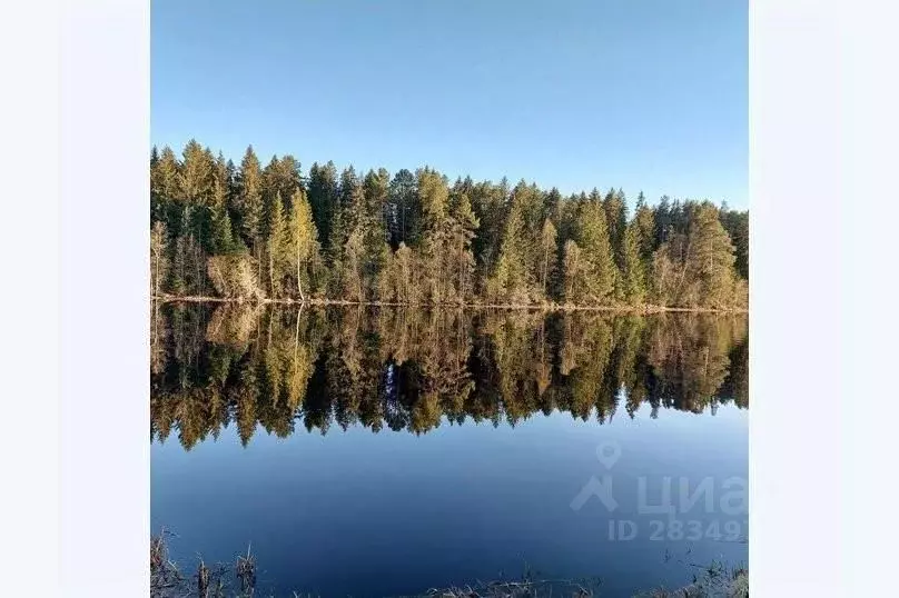 Дом в Карелия, Олонецкий район, Ильинское с/пос, с. Нурмойла ул. ... - Фото 2
