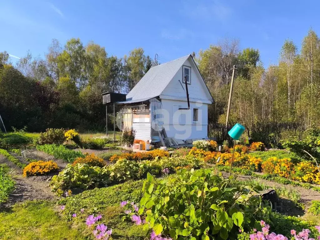 Дом в Костромская область, Костромской район, Самсоновское с/пос, ... - Фото 1