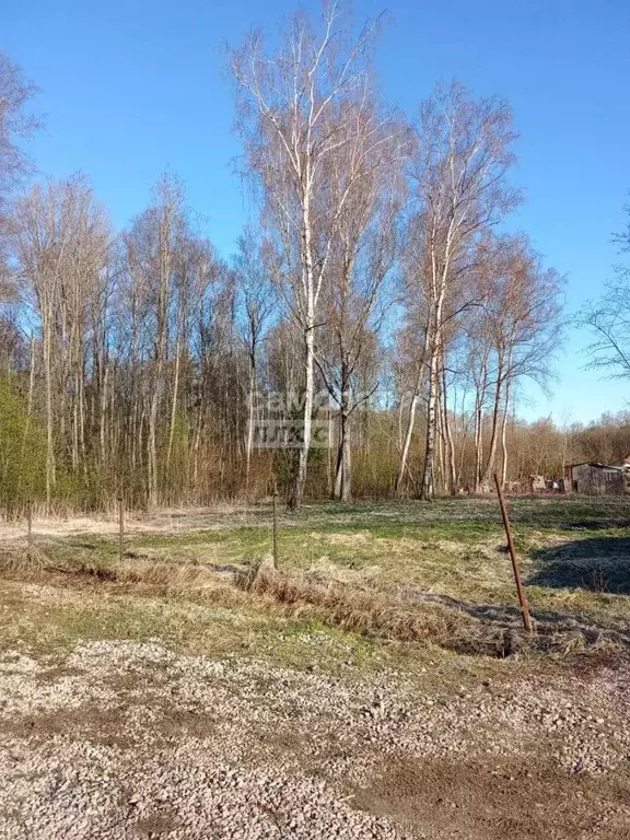 Участок в Калужская область, Боровский муниципальный округ, д. Сатино ... - Фото 1