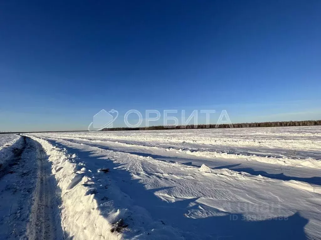 Участок в Тюменская область, Тюменский район, с. Горьковка Сибирская ... - Фото 1