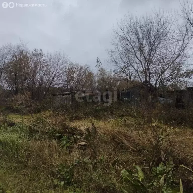 Участок в Новосибирск, Советский район, микрорайон Академгородок, ... - Фото 0