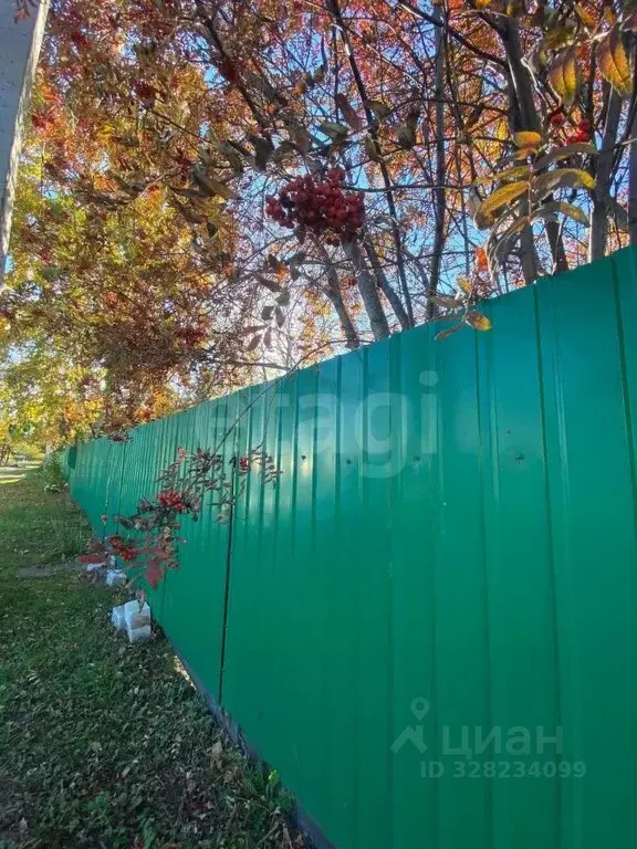 Дом в Амурская область, Свободный ул. Малое Шоссе, 31 (46 м) - Фото 2