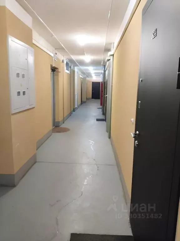 Студия Санкт-Петербург Усть-Славянка тер., просп. Советский, 43к1 ... - Фото 2