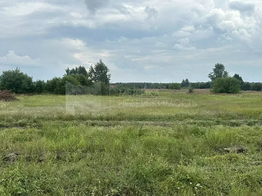 Участок в Тюменская область, Тюмень Здоровье садовое товарищество,  ... - Фото 1
