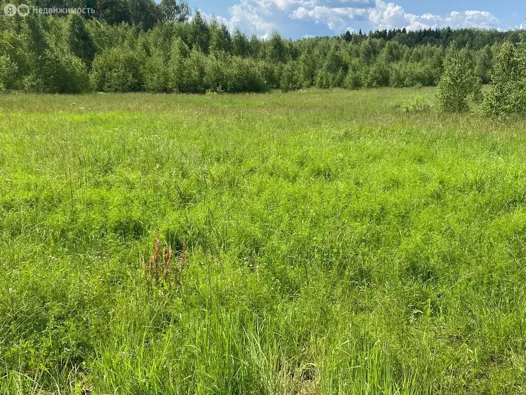 Участок в Малоярославецкий район, деревня Шумятино (1000 м) - Фото 0