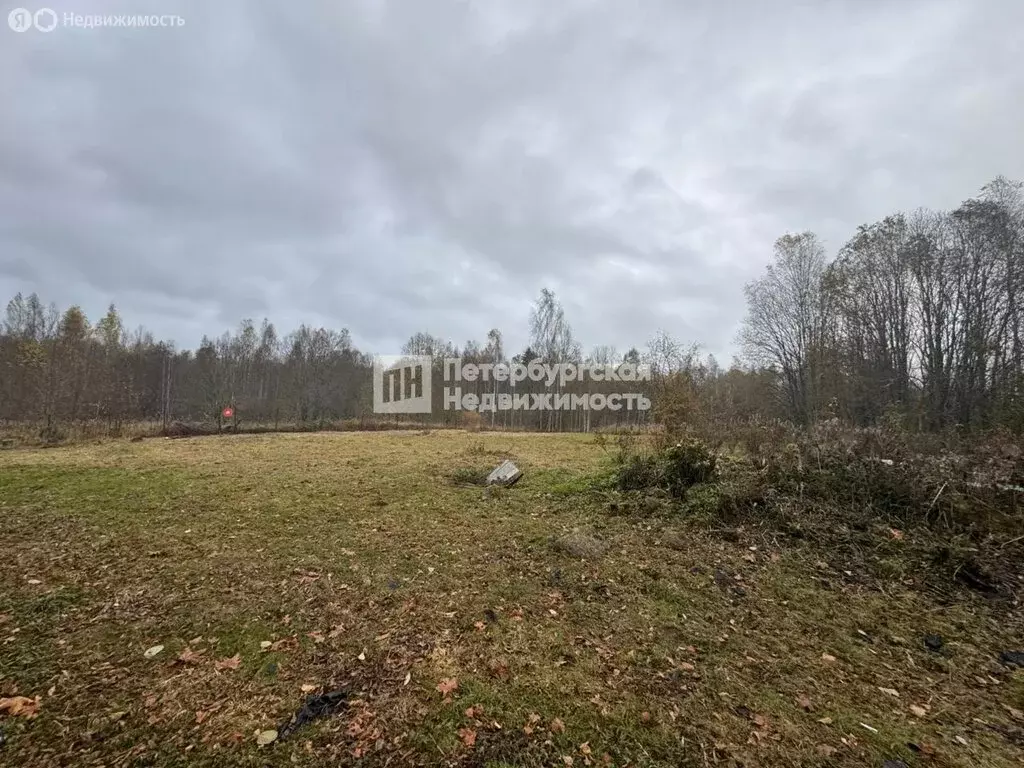Участок в Гдовский район, Плесновская волость, деревня Каменка (15 м) - Фото 1