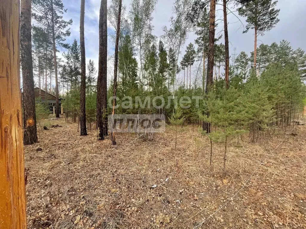 Участок в Забайкальский край, Читинский район, Березка ДНТ  (15.0 ... - Фото 0