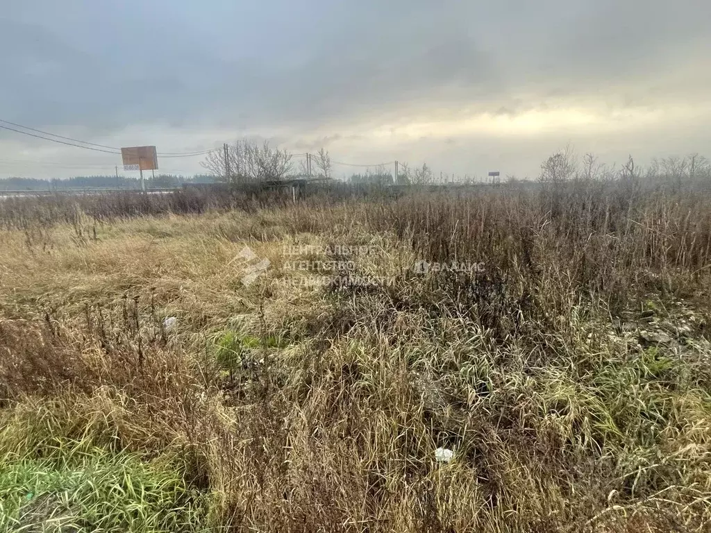 Участок в Рязанская область, Рязанский муниципальный округ, с. Поляны ... - Фото 1