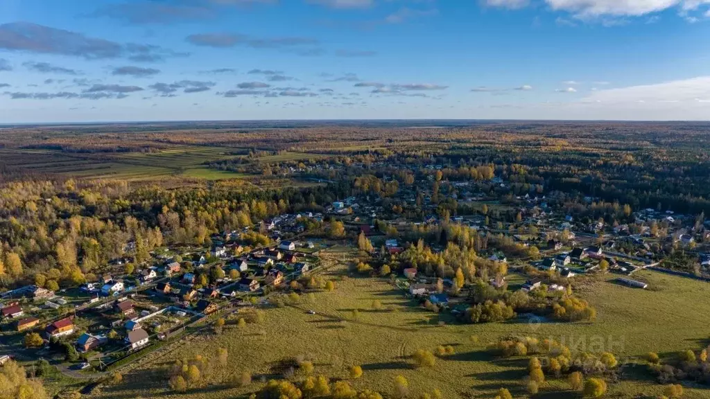 участок в ленинградская область, всеволожский район, куйвозовское . - Фото 1