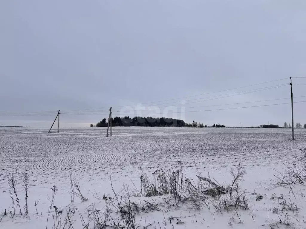 Участок в Ульяновская область, Новомалыклинский район, ... - Фото 1