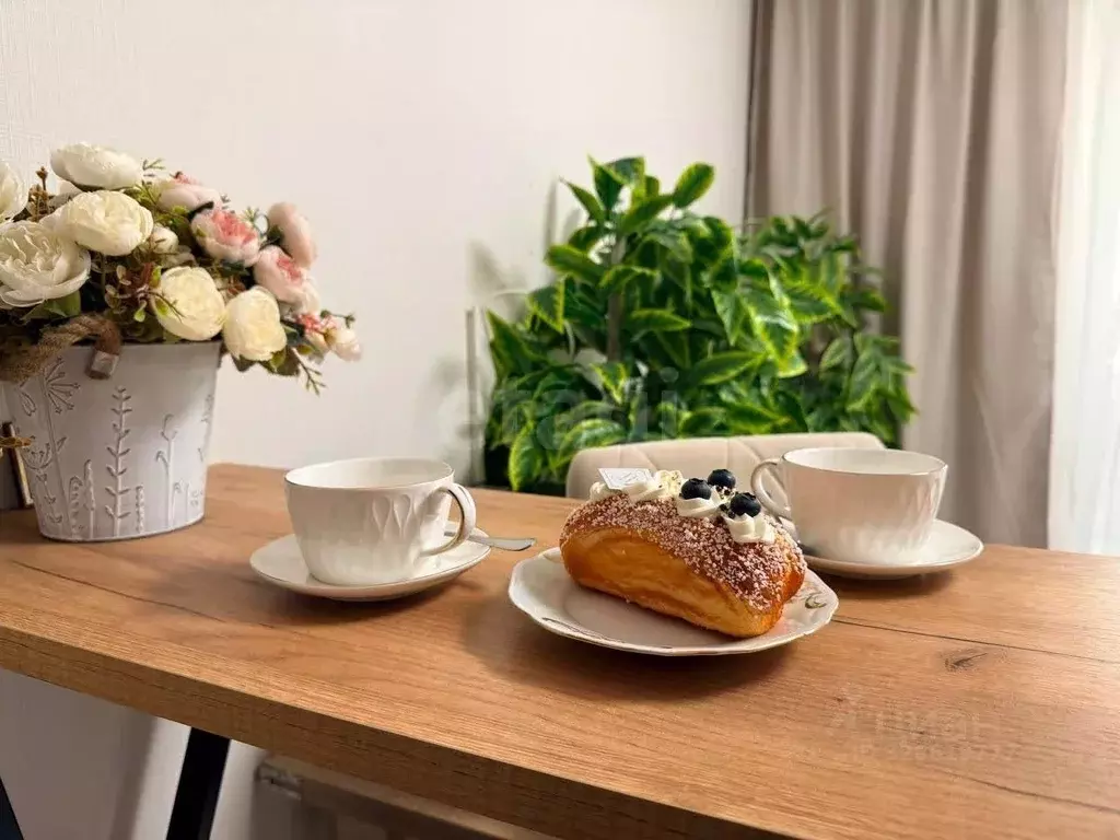 Студия Ленинградская область, Ломоносовский район, Виллозское ... - Фото 2