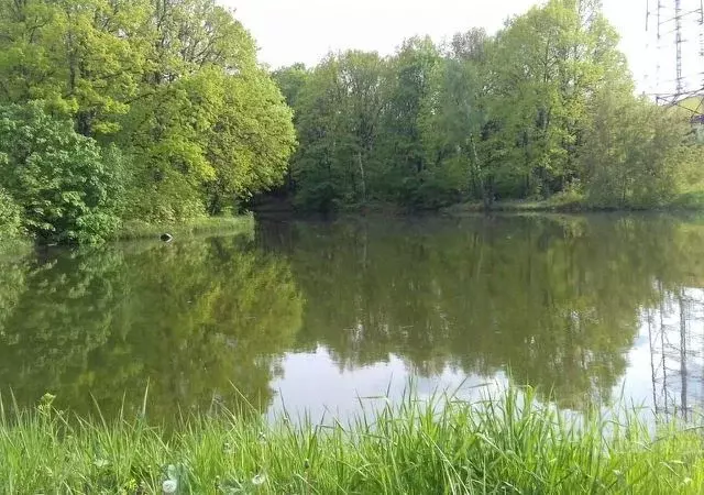 Участок в Московская область, Наро-Фоминский городской округ, д. ... - Фото 2