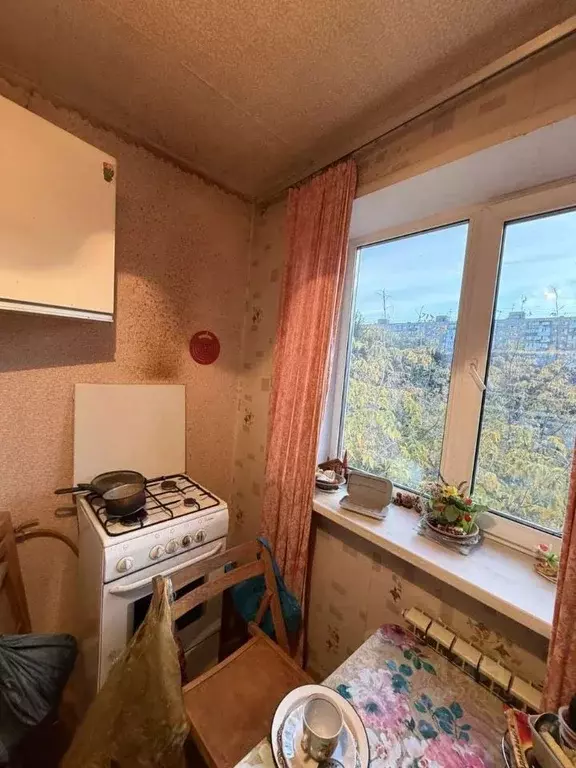 1-к кв. Самарская область, Самара Воронежская ул., 184 (30.5 м) - Фото 1