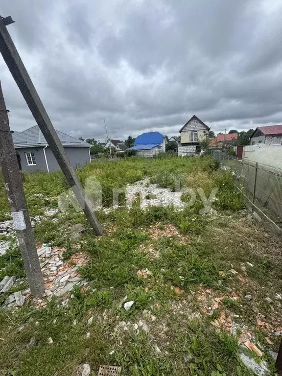 Участок в Калининградская область, Калининград Чайка СНТ, проезд ... - Фото 1