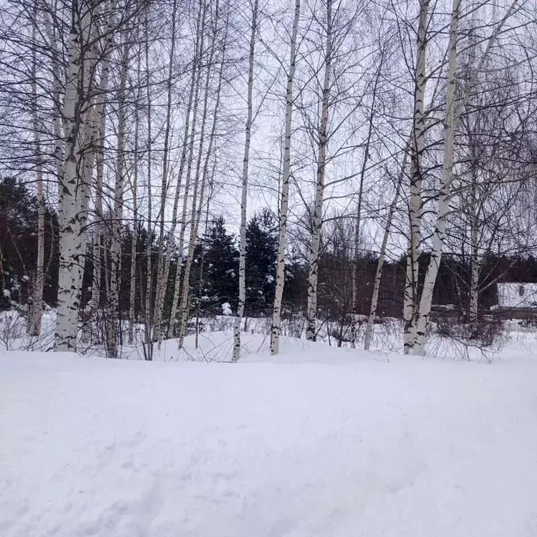 Участок в Архангельская область, Шенкурский муниципальный округ, д. ... - Фото 1