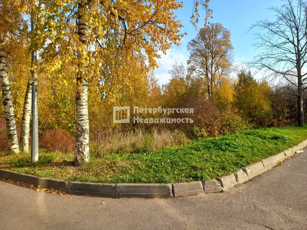 Участок в Санкт-Петербург, Санкт-Петербург, Ломоносов Профсоюзная ул., ... - Фото 0