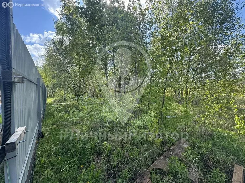Участок в деревня Рубцово, Берёзовая улица, 6 (13.05 м) - Фото 0