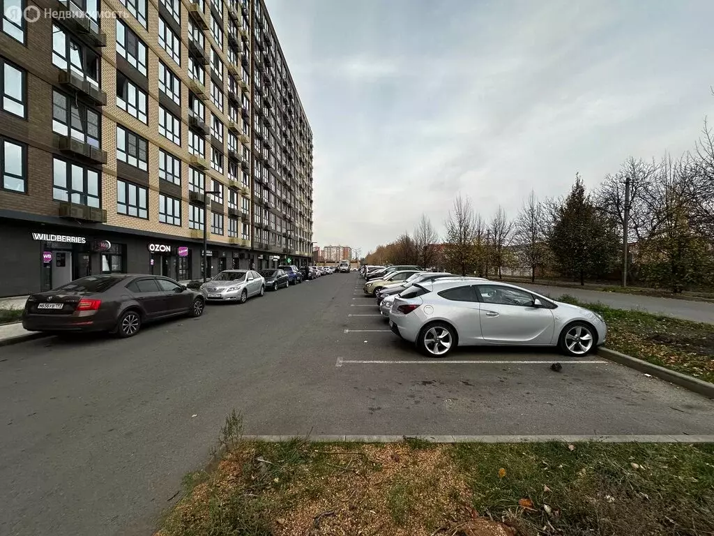 Торговая площадь (50.5 м) - Фото 1