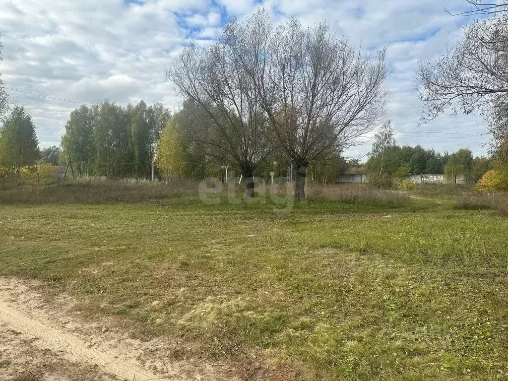 Участок в Владимирская область, Меленковский муниципальный округ, с. ... - Фото 1