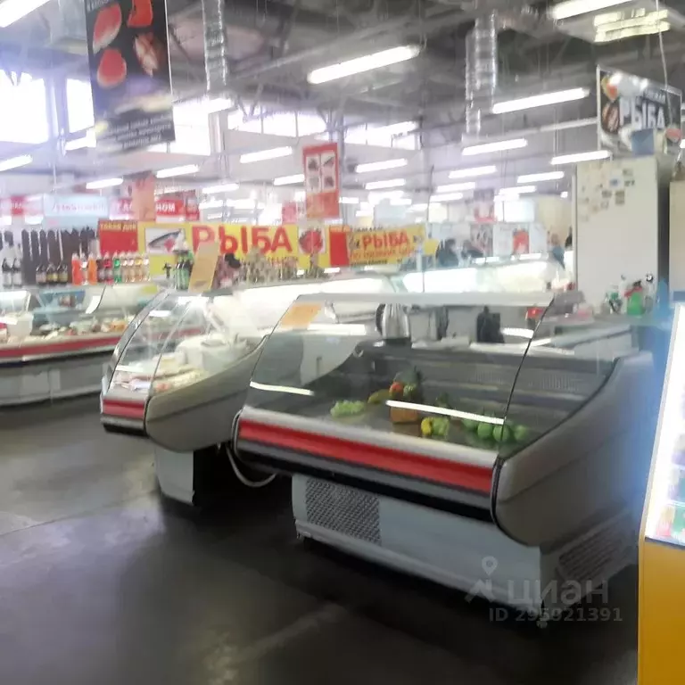 Торговая площадь в Нижегородская область, Нижний Новгород ... - Фото 2