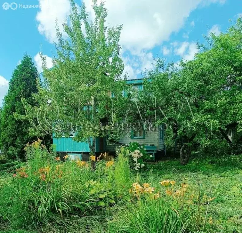 Дом в Большелуцкое сельское поселение, садоводческий массив Солка, ... - Фото 2