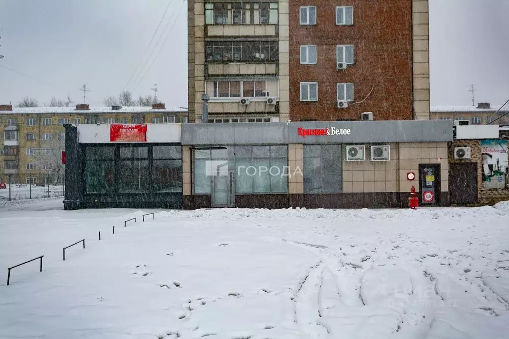 Помещение свободного назначения в Новосибирская область, Новосибирск ... - Фото 1