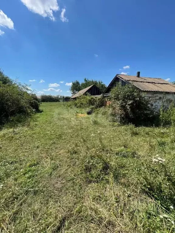 Дом в Саратовская область, Балашовский район, Октябрьское ... - Фото 1