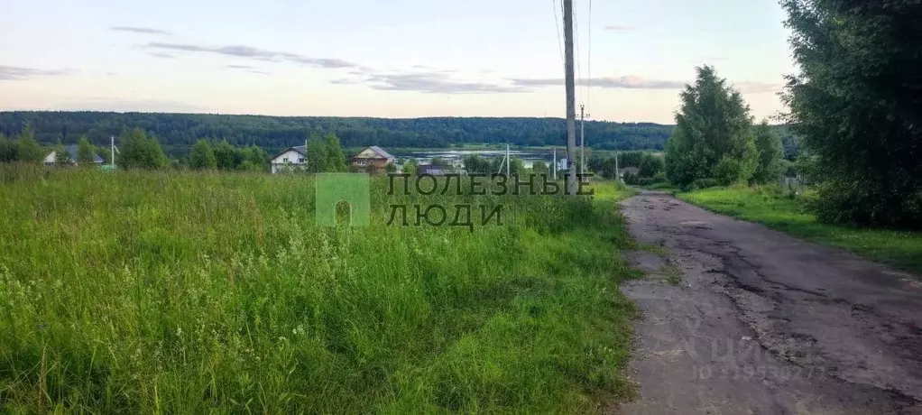 Участок в Ярославская область, Тутаевский муниципальный округ, ... - Фото 0