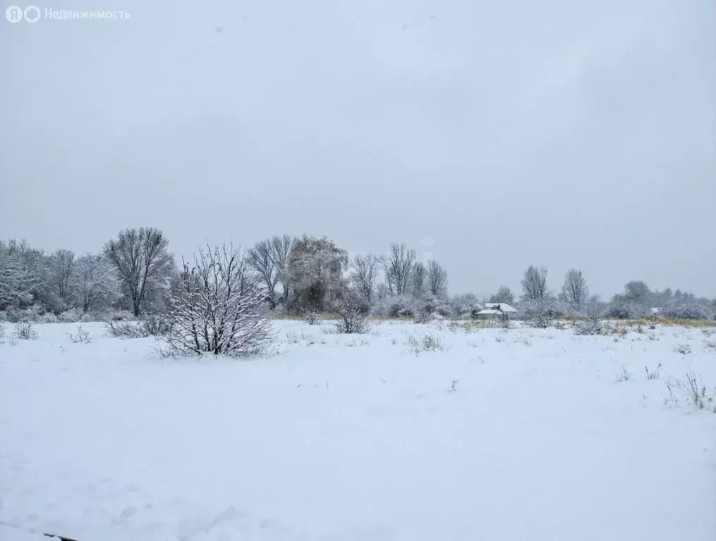 Участок в сельское поселение Протасовское, деревня Якшинские Выселки ... - Фото 2